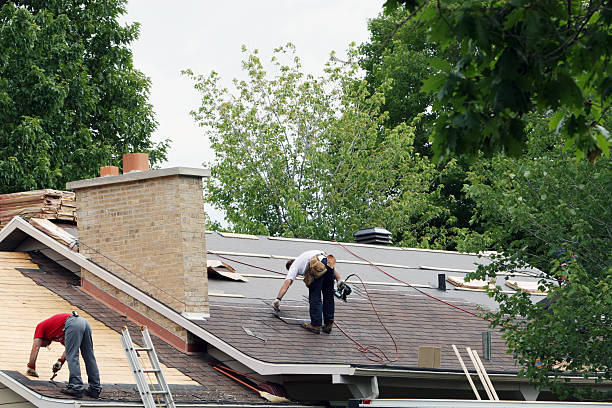 Roof Maintenance